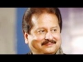 La Pilade Saqia Pankaj Udhas