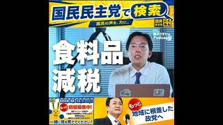 国民民主党 森ようすけ 食料品消費税減税 8月3日