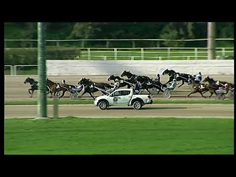 Trotto 01/12/2020 - 2ª corsa