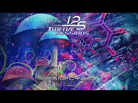 Twelve Sessions- Psilocybe (Original)
