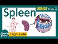 Spleen | Role of spleen in immunity | Red pulp vs white pulp | Splenomegaly | Splenectomy | USMLE