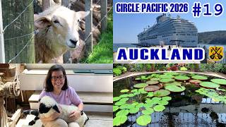 Auckland, New Zealand - Sheepworld Farm Show, Honey Centre, Winter Garden - Circle Pacific Cruise