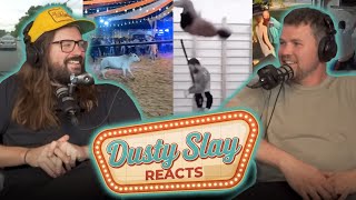 Reacting to Crazy Drivers &amp; Even Crazier Cows | Dusty Slay Reacts