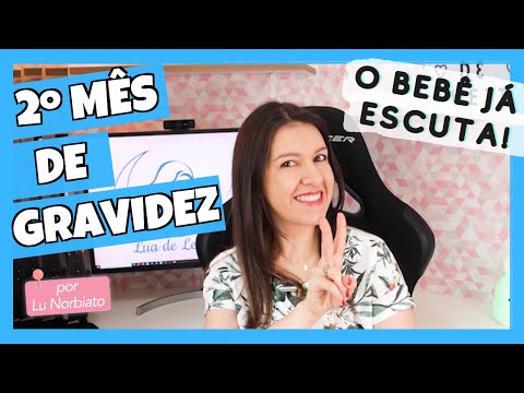 2º MÊS DE GRAVIDEZ - O que acontece entre 5 e 8 semanas de gestação