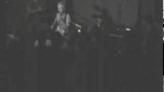 the pAper chAse - you will never tAke me Alive