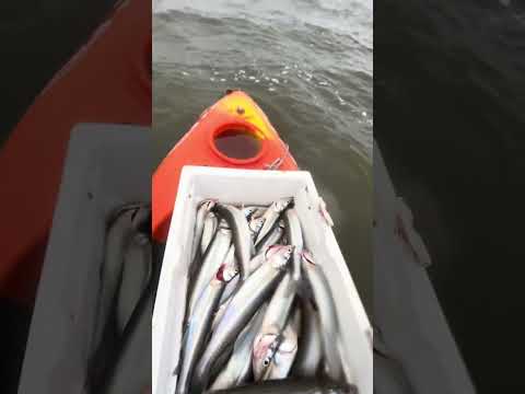 Pesca en kayak con algo de viento, laguna el hinojo, 20 de julio 2026 #trenquelauquen
