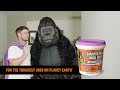 Gorilla Smooth Finish Wall Filler Advert Game Changer