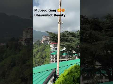 MacLeod Ganj dharmkot Beauty 😍😇👌🏻🌷🌸 #macleodganj #dharmkot #nature #hillstation