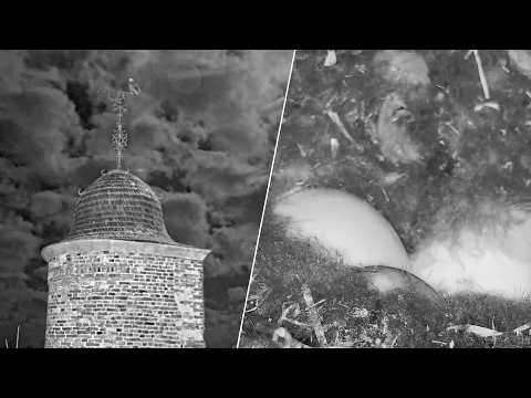 28.02.–01.03.2026: Beute satt – Knacks im Ei