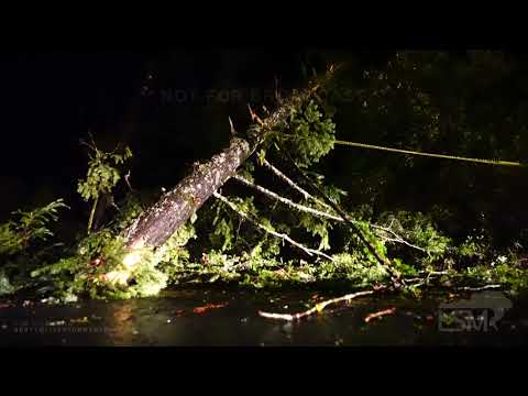 01-27-2021 Santa Cruz, CA - Trees Down Strong Winds and Heavy Rains