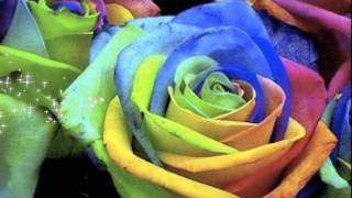 Rainbow Veins - Owl City