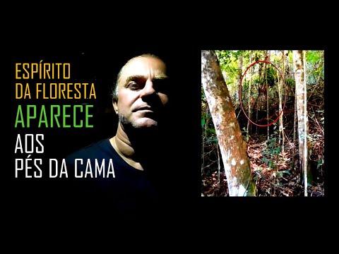 ESPÍRITO de ÍNDIA APARECE na FLORESTA - Seres ESPIRITUAIS das MATAS - Ep 35