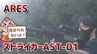 【サバゲー】ARESストライカーAST-01　レビューしてみた！