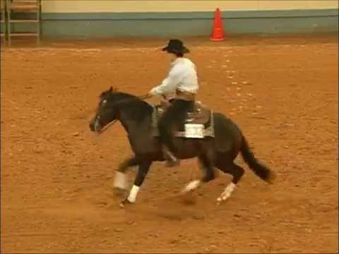 Playgun y RoostersWrangler en Acción