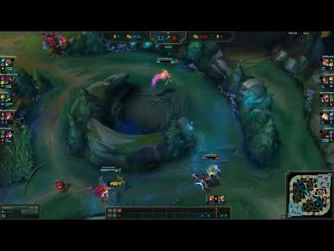 zoe q bug?