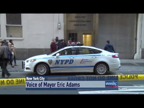 NYPD Seeking Shooter Of 20 Year–Old Mother Pushing A Baby Stroller