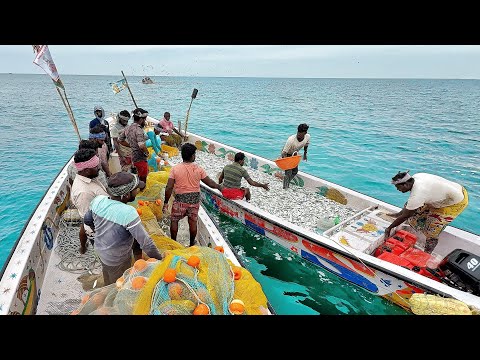 INSANE CATCH!!Small Fishing Boat Loaded In Sea!!!