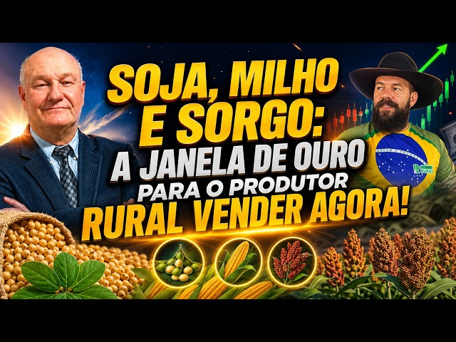 Soja, Milho e Sorgo: A Janela de Ouro para o Produtor Rural Vender Agora!