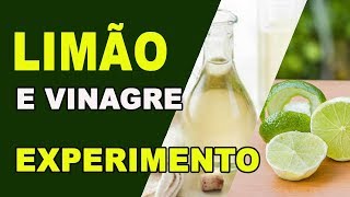 O que acontece quando você toma VINAGRE E LIMÃO