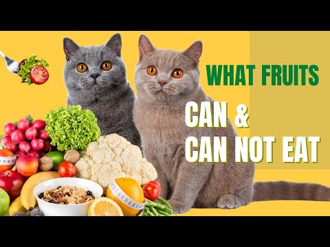 10 Fruits and Vegetables Cats Can't Eat