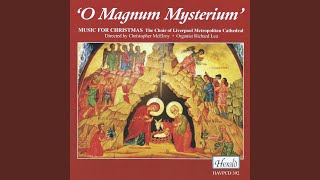 The Darkest Midnight in December