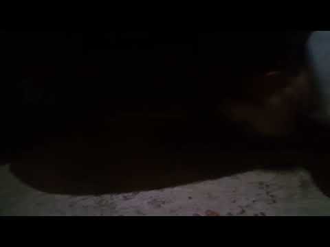 Epic shot with lilbroski fan