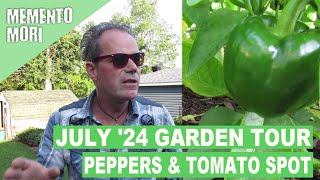 Garden Tour July 2024: Berries, Peppers, Tomato Leaf Spot! (Zone 4b)