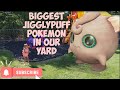 Biggest Jigglypuff Pokemon In Our Yard