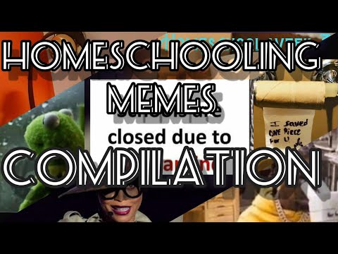 Homeschooling Be Like Best Homeschooling Memes Compilation Unusual Memes Random