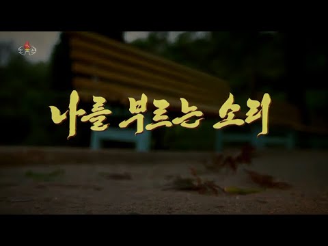 Jong Hong Ran - The Voice Calling Me