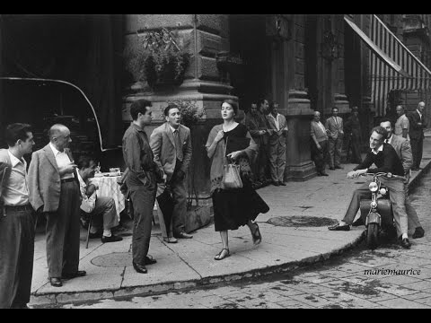 Nenad Vasilic - C´est la vie