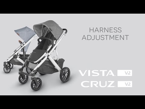 Uppababy Cruz V2 - Regulacja Szelek