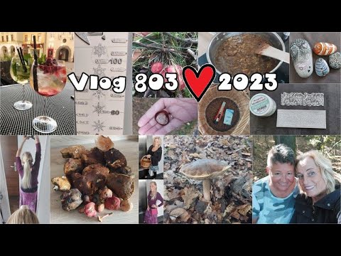 Vlog 803/23 - na houbách a jinde...
