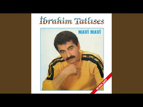 Bırak Gitsin
