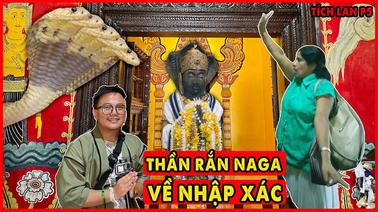 Thần Rắn Naga Nhập Xác tại đền Thiêng Tích Lan 2500 năm | Phật Đảo Sri Lanka P5