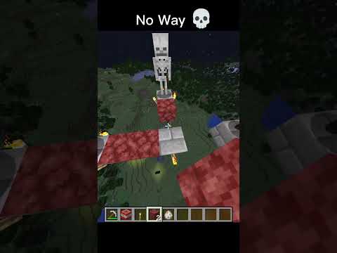 No Way 💀 #minecraft #shorts