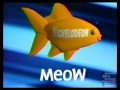Nickelodeon Meow Fish Bumper 1997