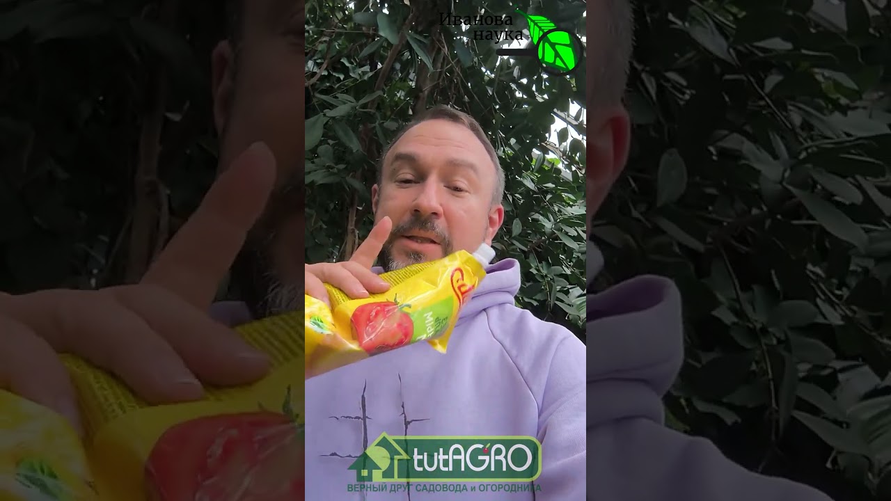 Неожиданная польза майонеза. Майонез под микроскопом: разбираем состав и вл?