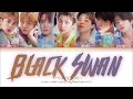 BTS 방탄소년단 Black Swan Color C BTS 방탄소년단 Black Swan Color C