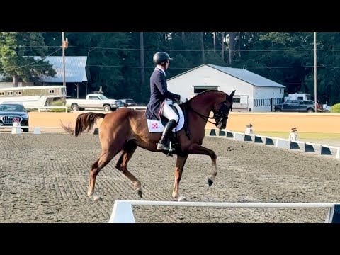 Cooldown Dressage - Starr Witness 🥇 Grand Prix 65.435%