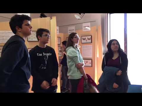 IL FERMI CELEBRA IL DARWIN DAY AL MUSEO