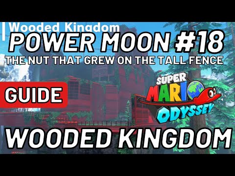 Super Mario Odyssey - Power Moon #18: The Nut that Grew on the Tall Fence  - Wooded Kingdom