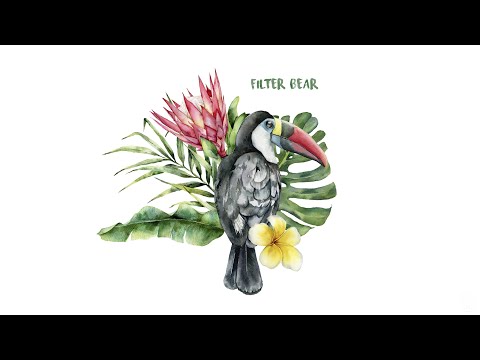 The Soulcast 024 with Filter Bear