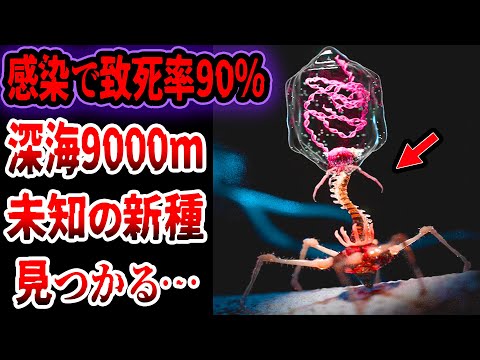 永久凍土に隠された:研究者らが13種類の感染性「ゾンビウイルス」を発見