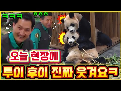 에버랜드 세컨하우스 1월4일 😘 오늘 루이 후이 너무 웃기고 귀여워요 ㅋ