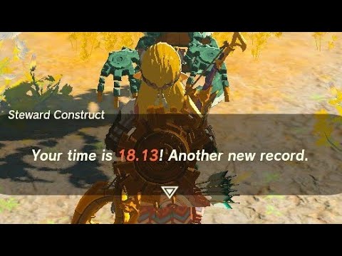 1st Bravery Island Speedrun (18.13s) - Tears of the Kingdom