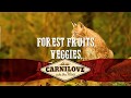 Granule pre mačky Carnilove Duck & Turkey for Large Breed Cats Muscles Bones Joints 0,4 kg