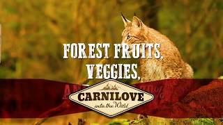 Carnilove Fresh Carp & Trout for Adult Cats Sterilized 6 kg