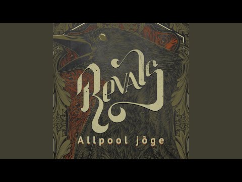 Allpool jõge