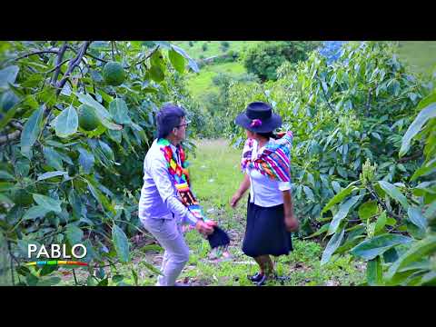 Eder Limaylla - Quiero Saber Dónde Estás